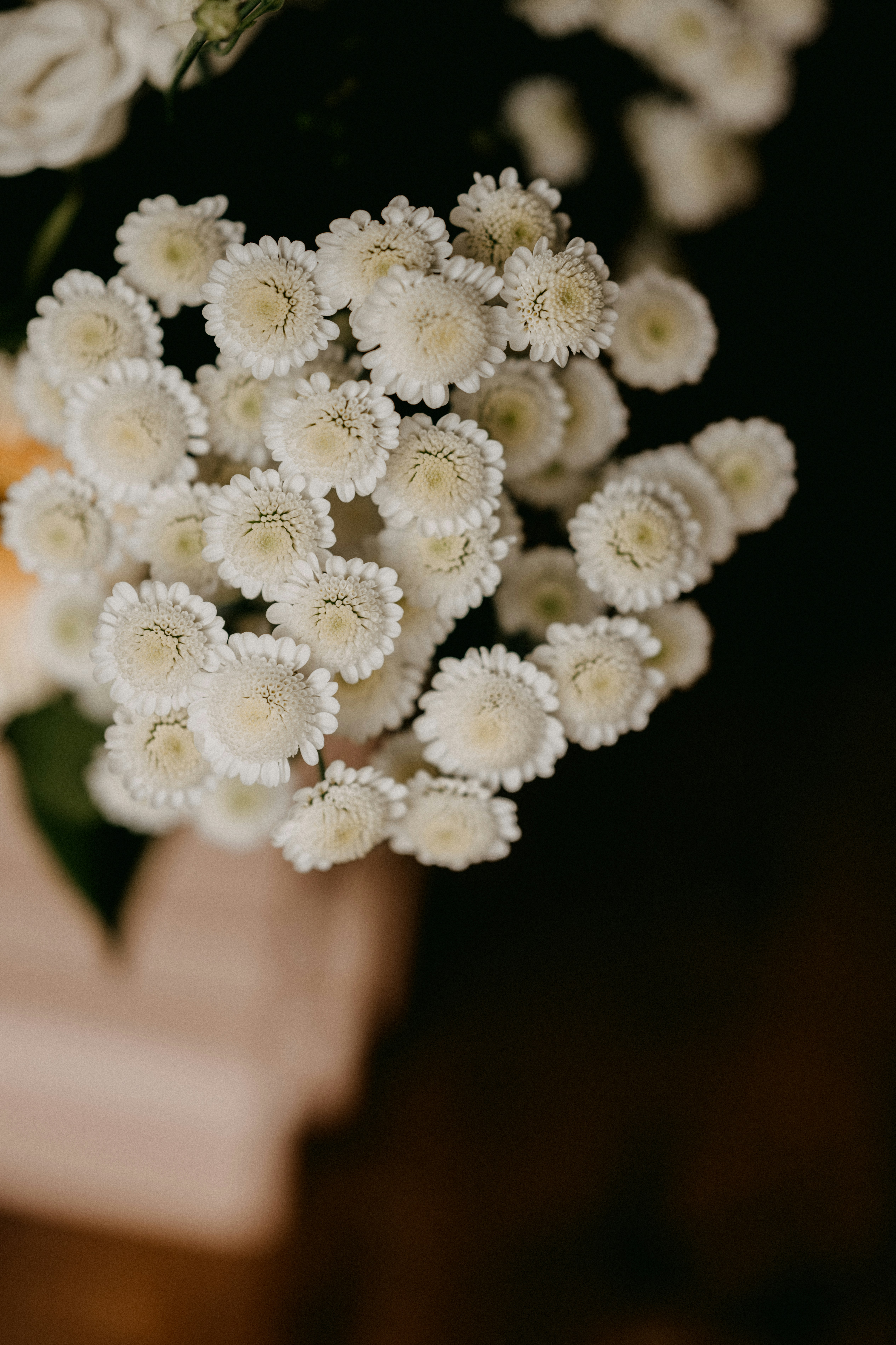 Photo by anniespratt