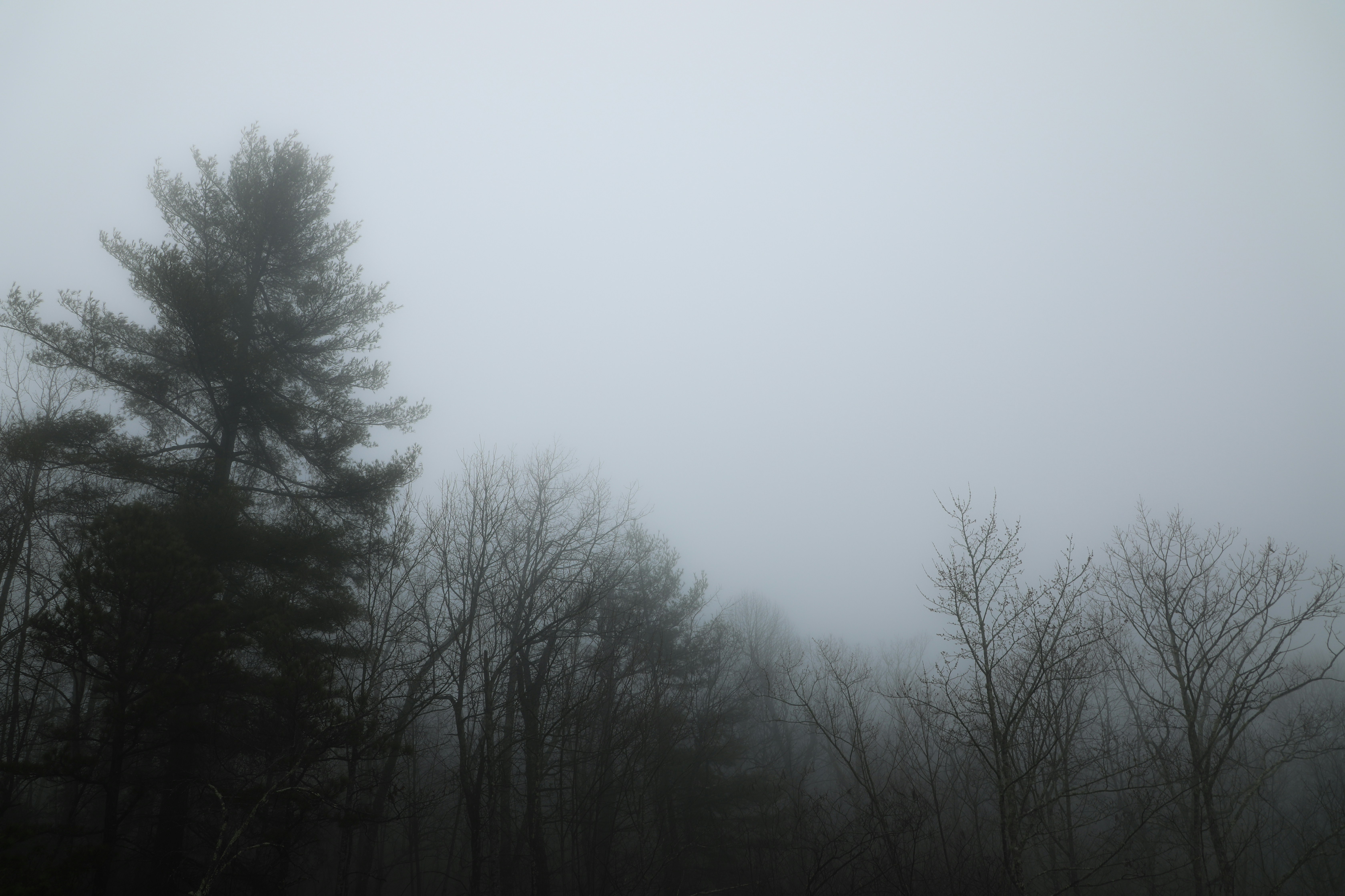 Photo by michaelbweidner