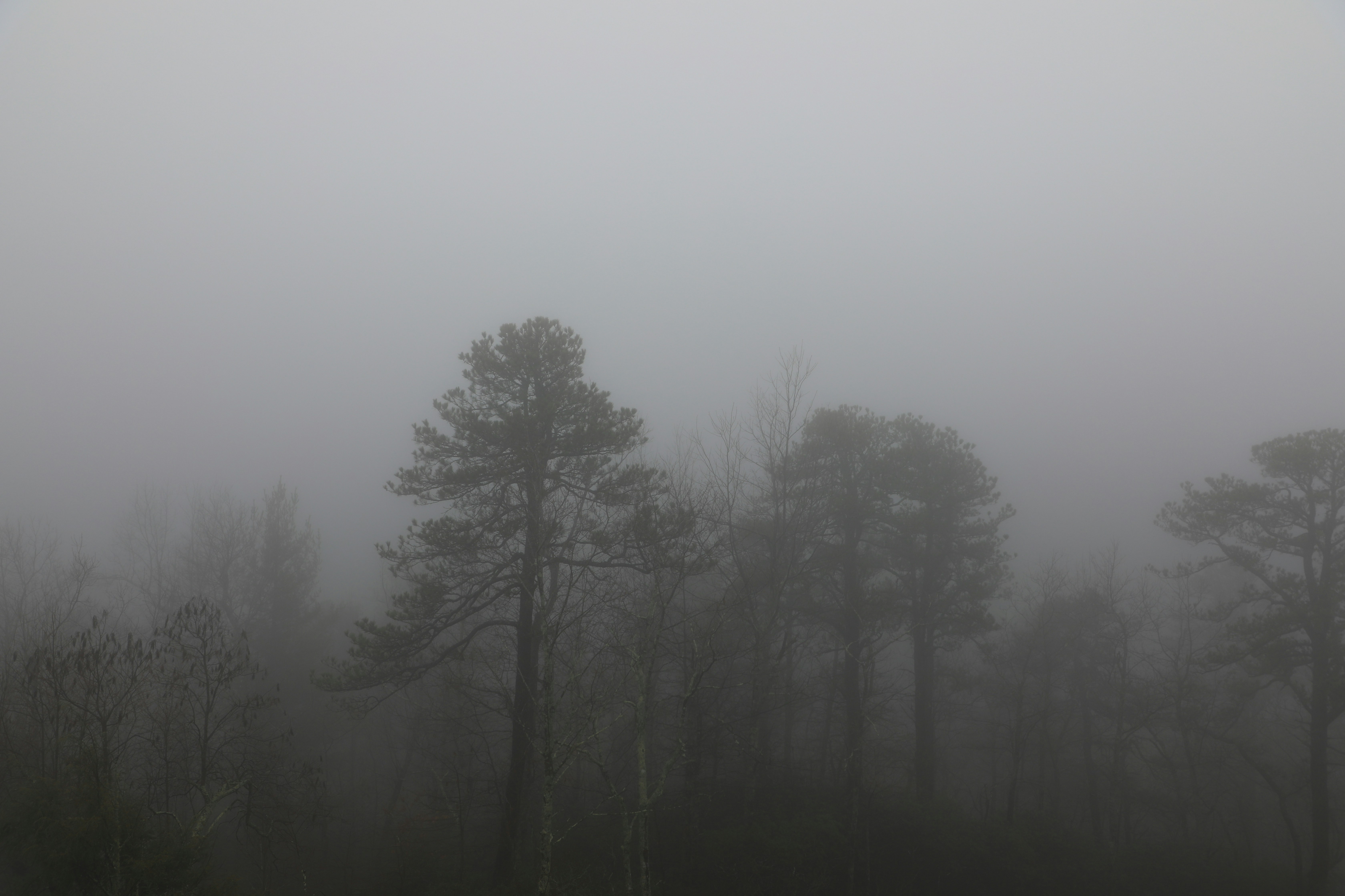 Photo by michaelbweidner