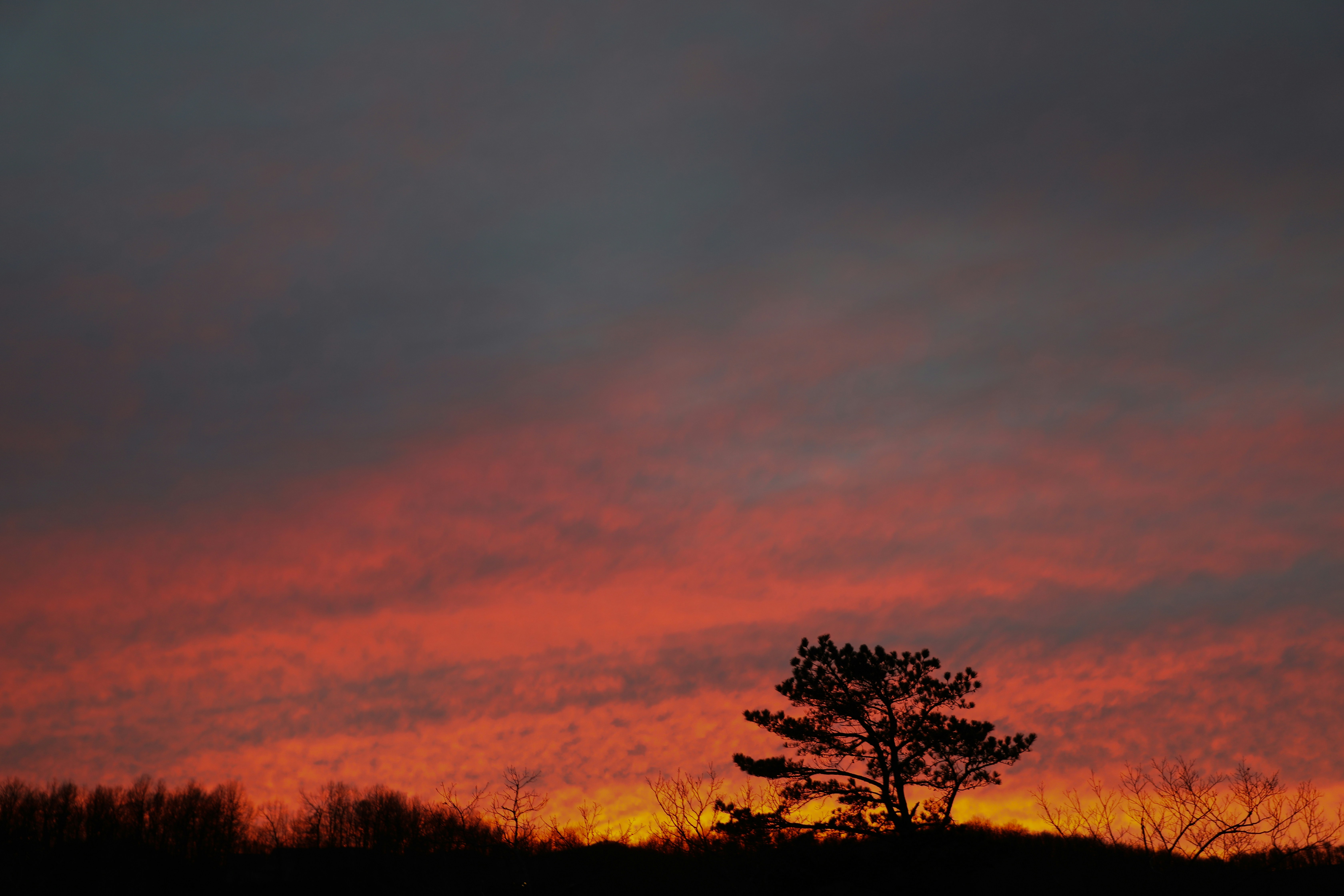 Photo by michaelbweidner