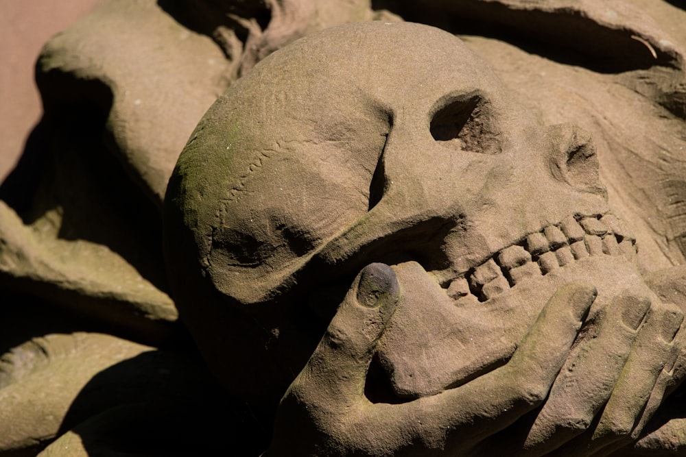 a close up of a sand sculpture of a skull