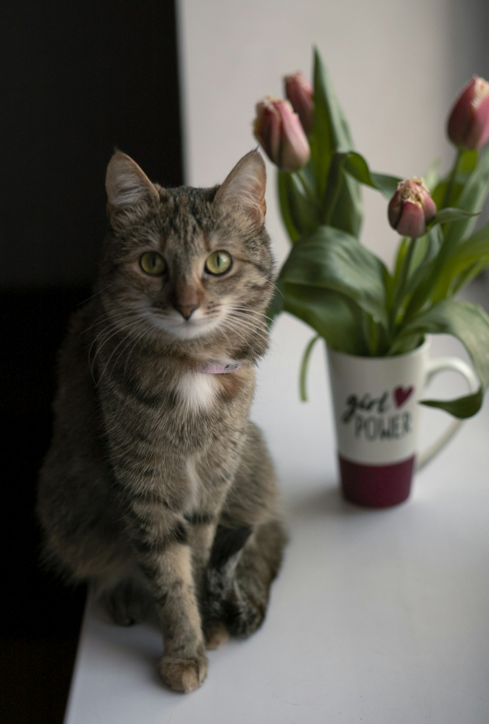 a cat sitting on a table next to a vase with flowers