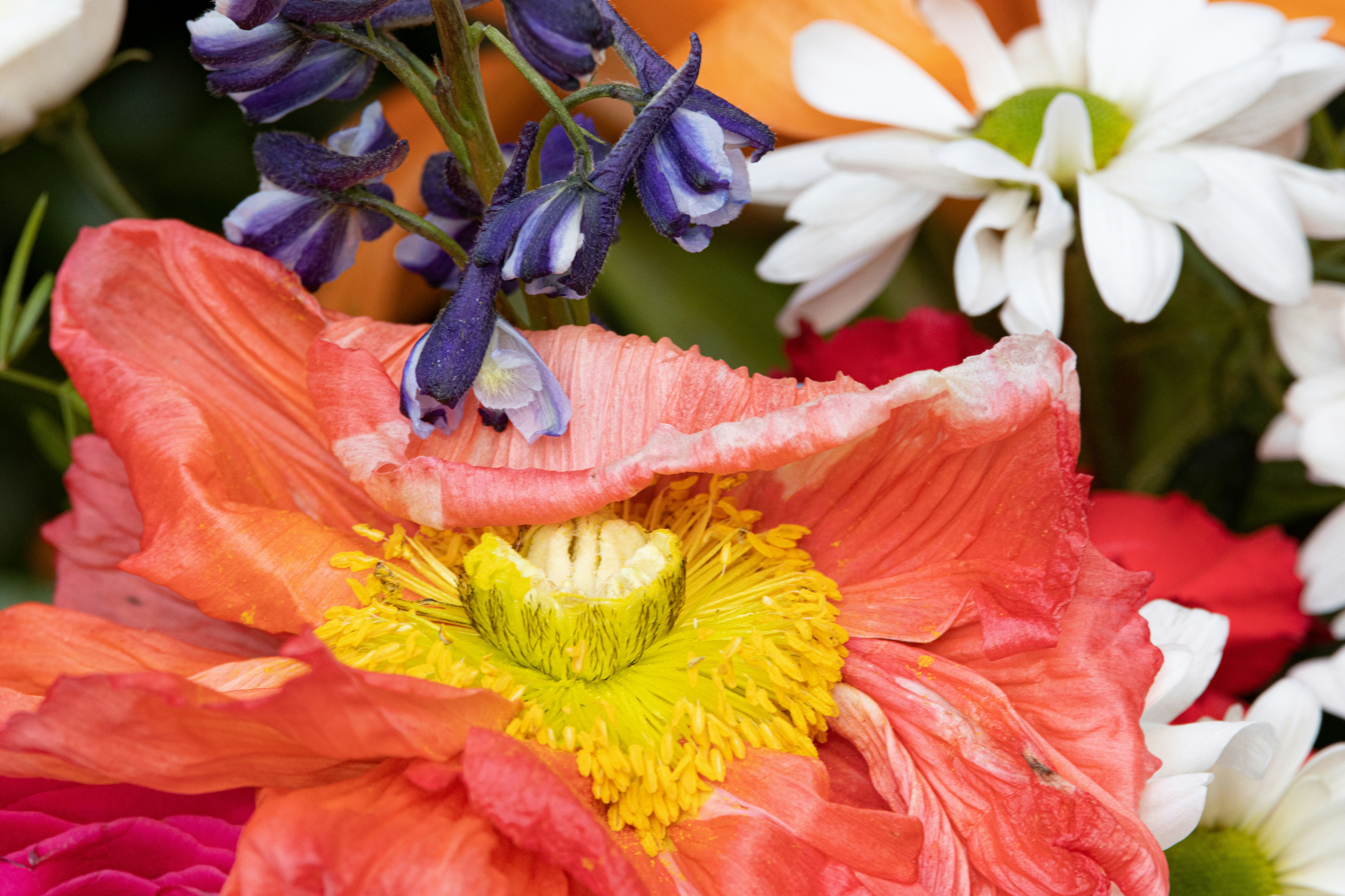 Happy Thursday Greetings Images: Uplifting Good Morning Wishes