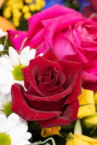 Caja de Rosas Premium