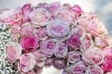 A sophisticated bouquet of pale pink roses arranged with delicate white baby's breath on a minimalist white background.