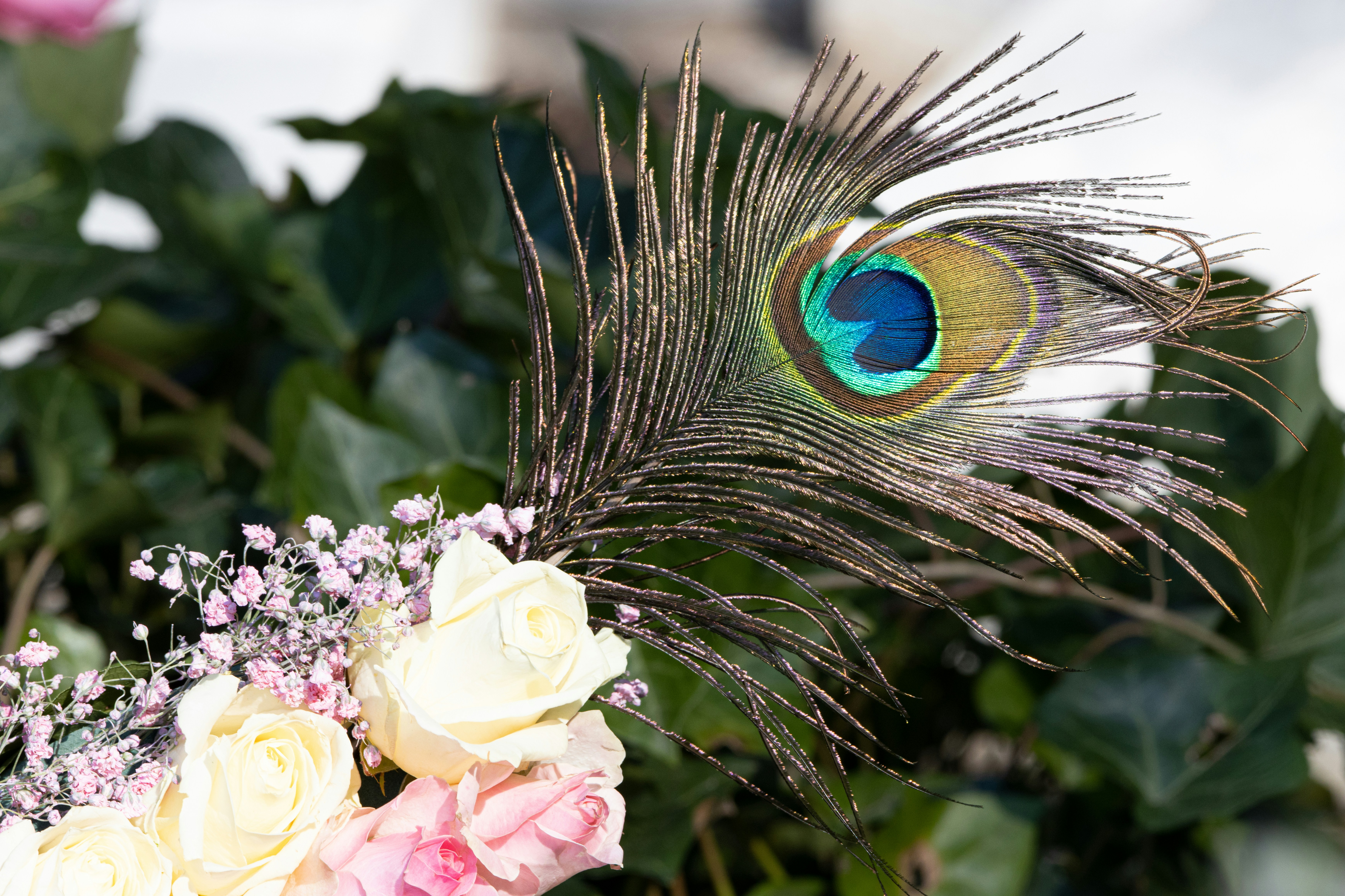 a peacock feather resting on a bouquet of flowers