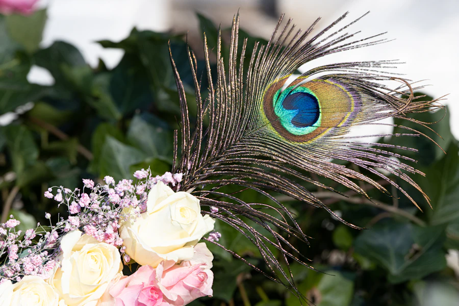 吉爾佩戴的鴕鳥羽毛頭飾