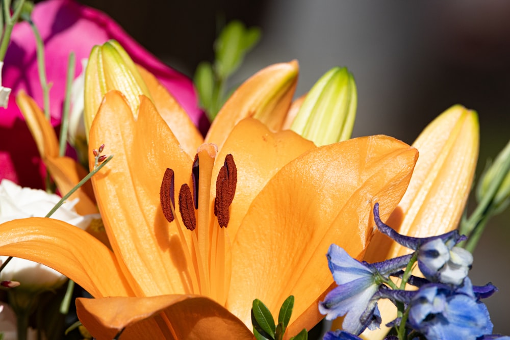 a close up of a bouquet of flowers