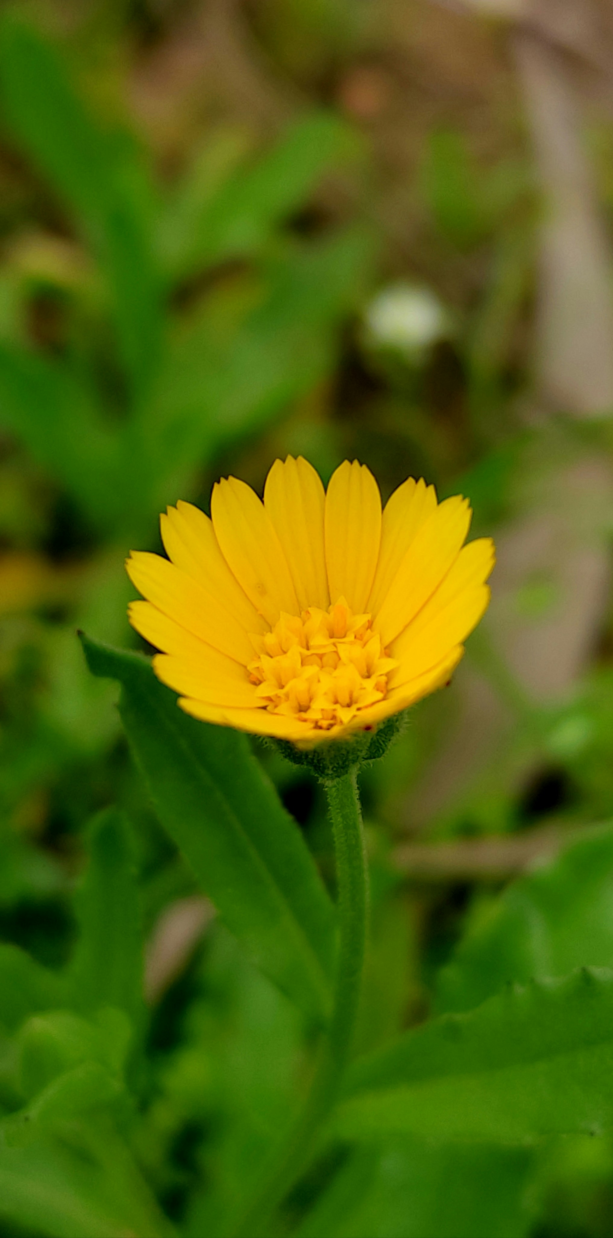 Photo by mkforfuturelife