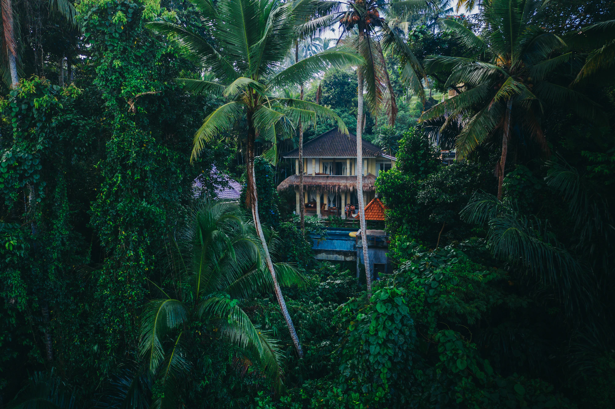 Villa beratap tinggi di tengah hutan tropis yang rimbun