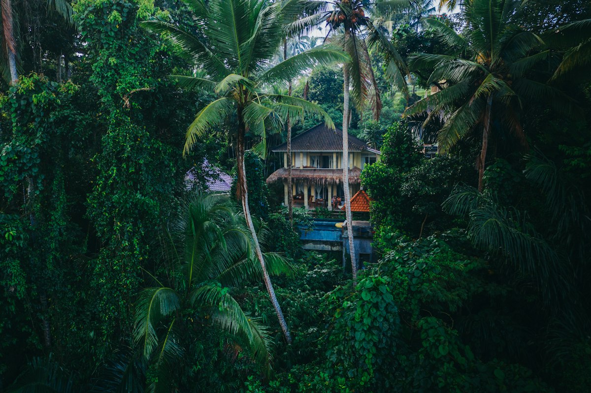 A bamboo and wood eco-lodge nestled in the Bali jungle surrounded by trees