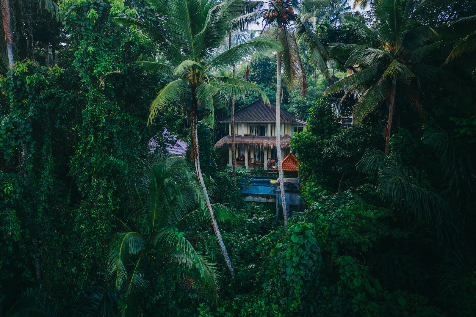 A bamboo and wood eco-lodge nestled in the Bali jungle surrounded by trees