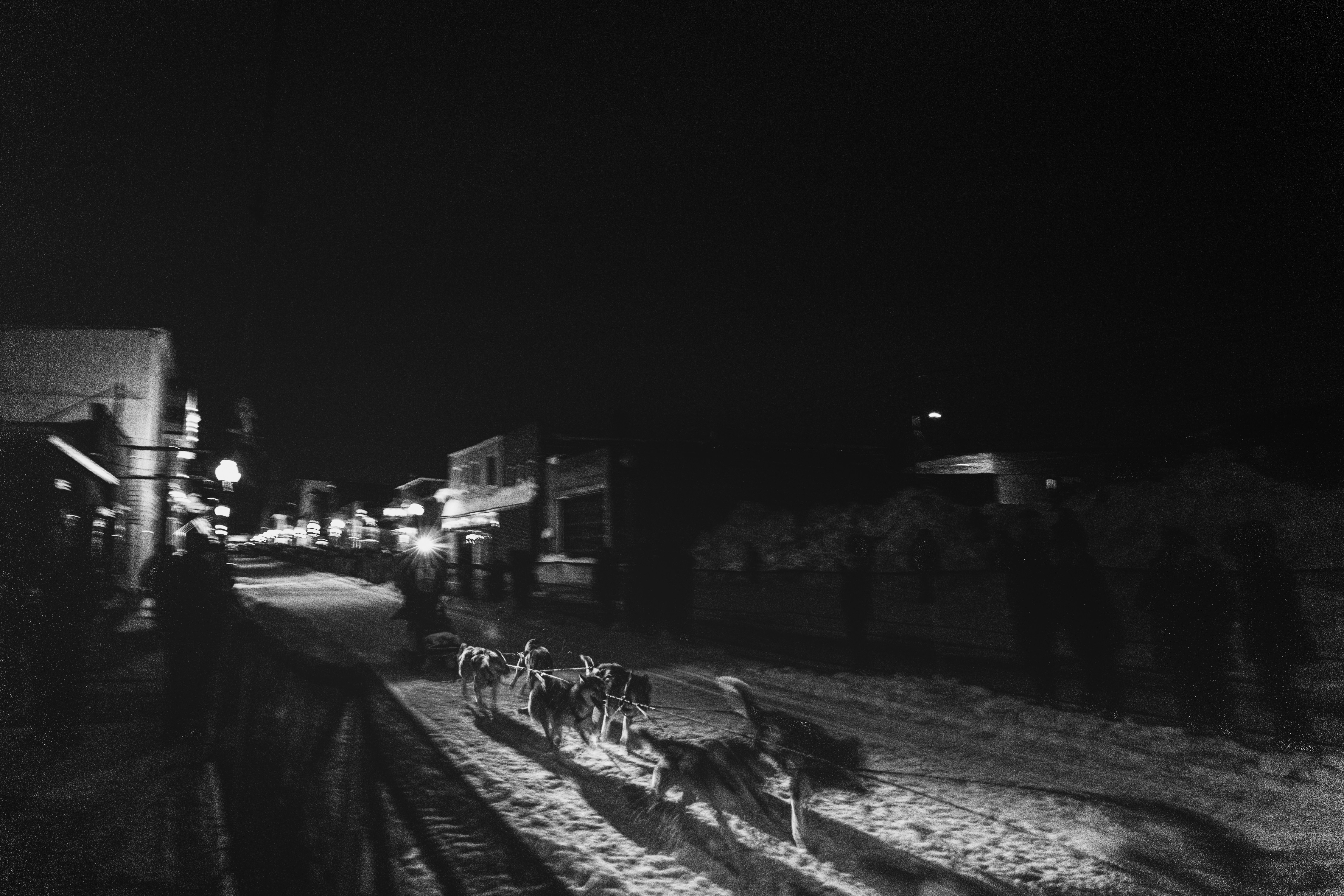 a black and white photo of a sled pulled by two dogs