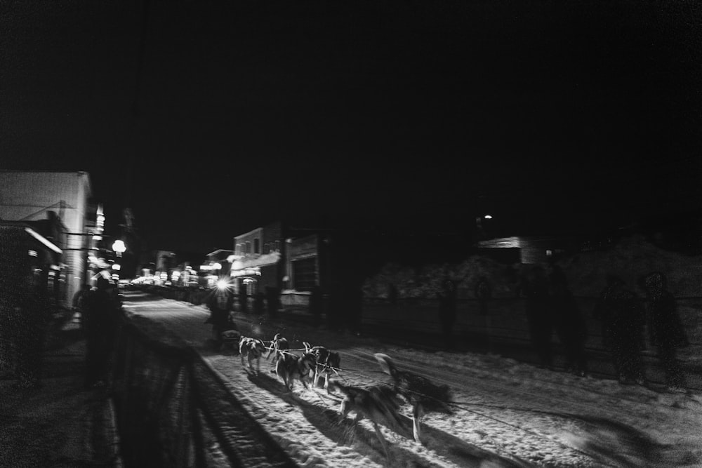 a black and white photo of a sled pulled by two dogs