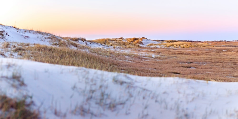 a snow covered field with a hill in the background