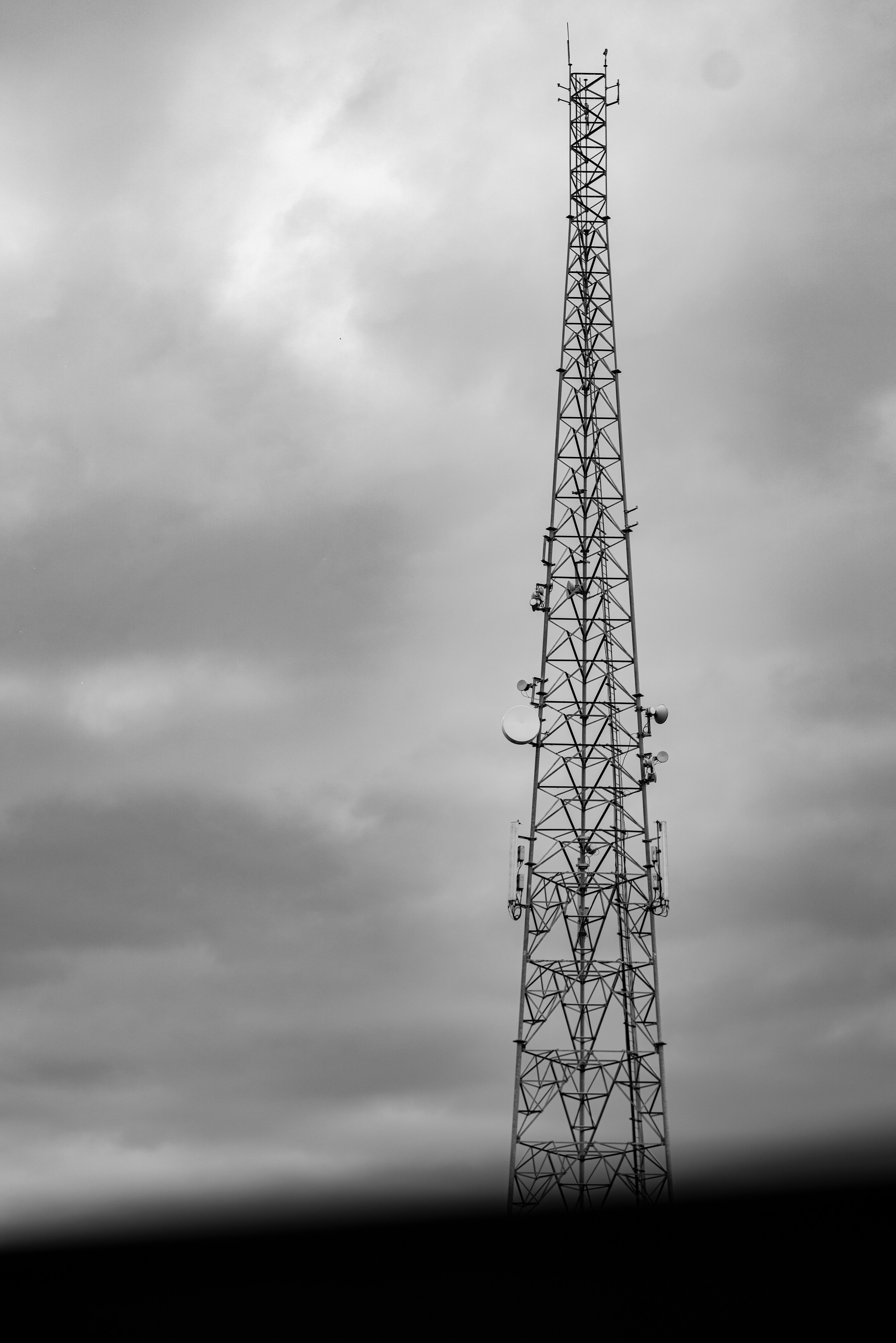 Photo by shayan_rostami