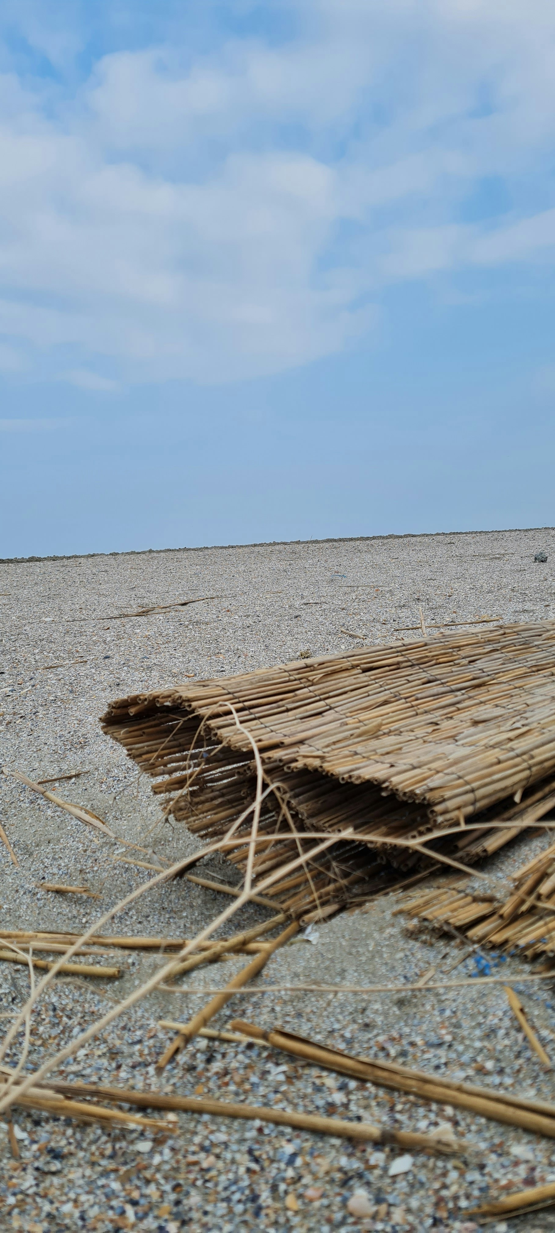 ein Haufen Stöcke, der auf einem Sandstrand sitzt