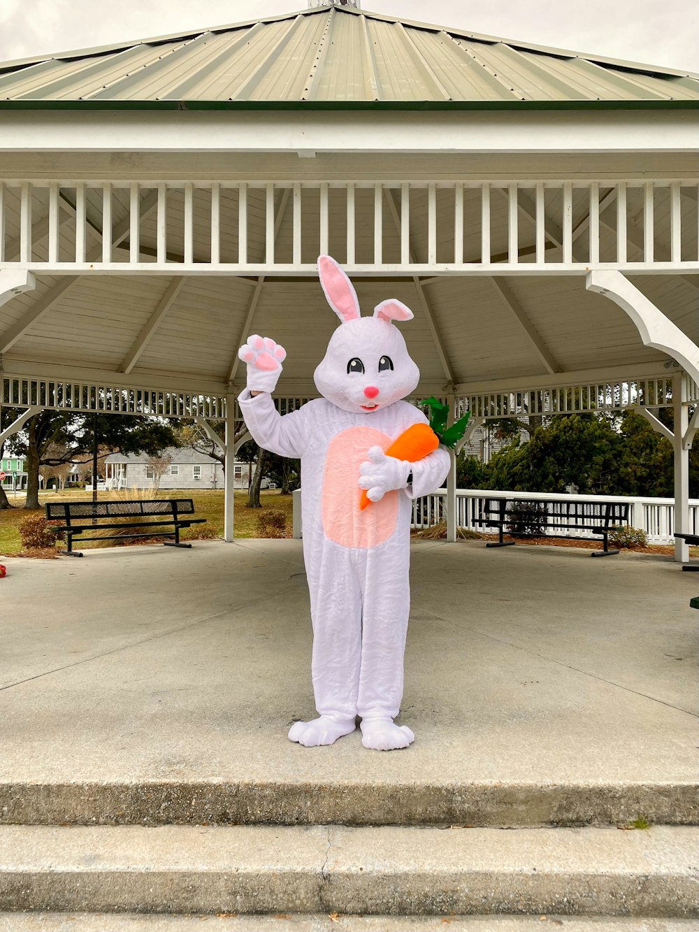 a person in a bunny suit holding a carrot