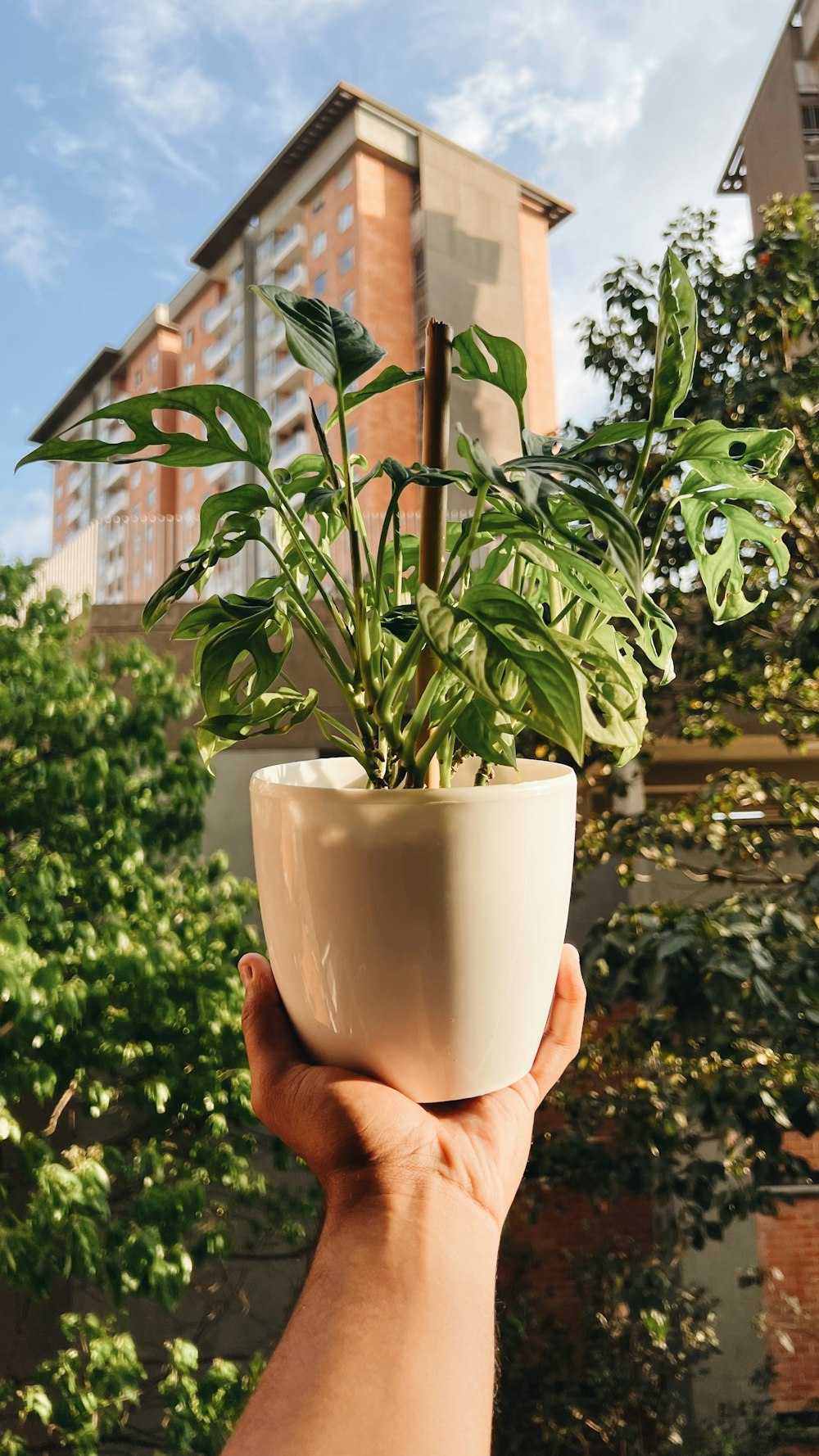 a person holding a potted plant in front of a building