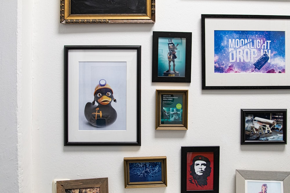 a bunch of framed pictures on a wall