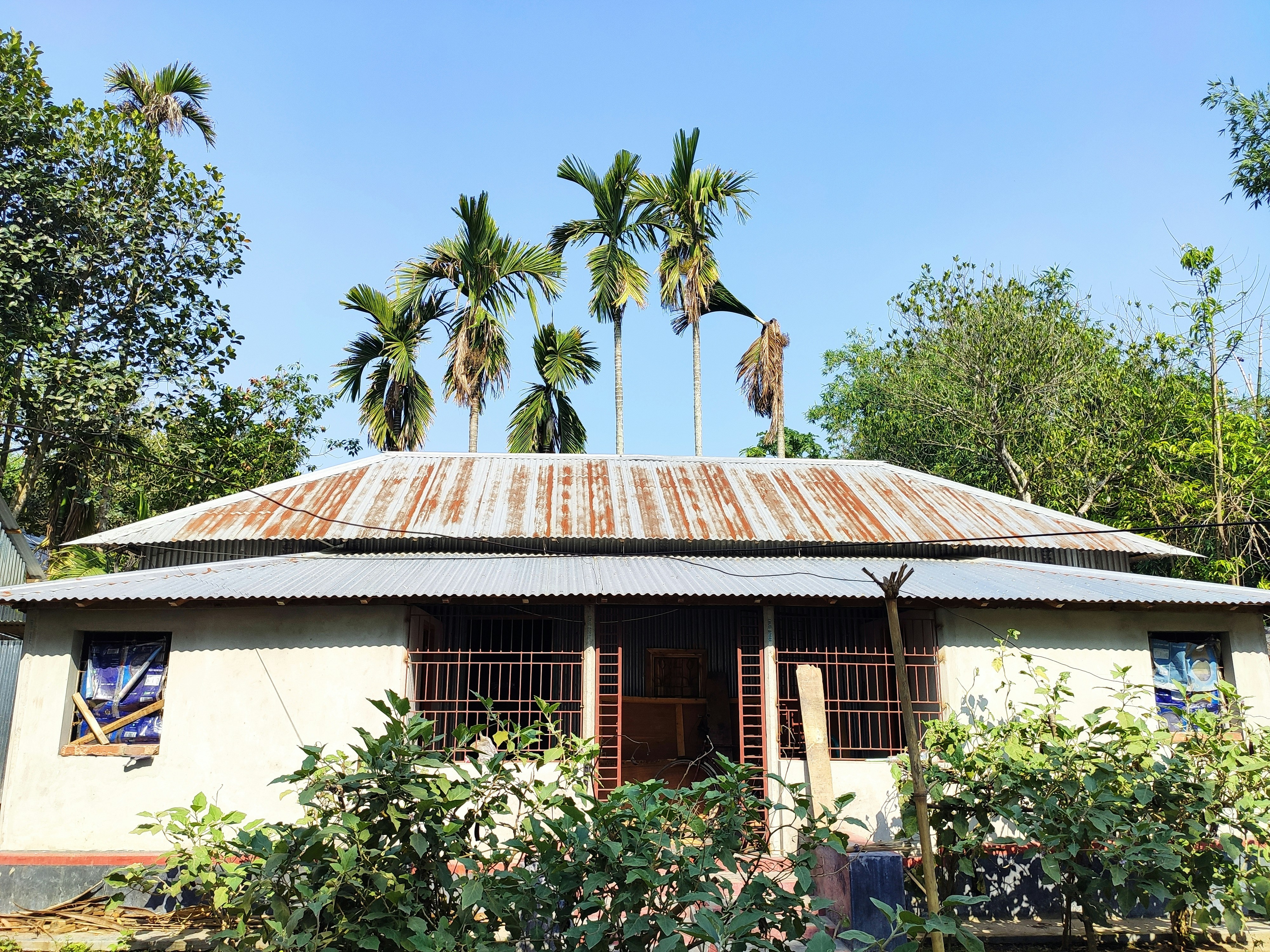 Photo by habibcse009