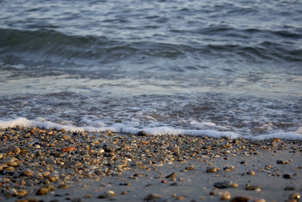 Eine Nahaufnahme eines Strandes mit einer Welle, die hereinkommt