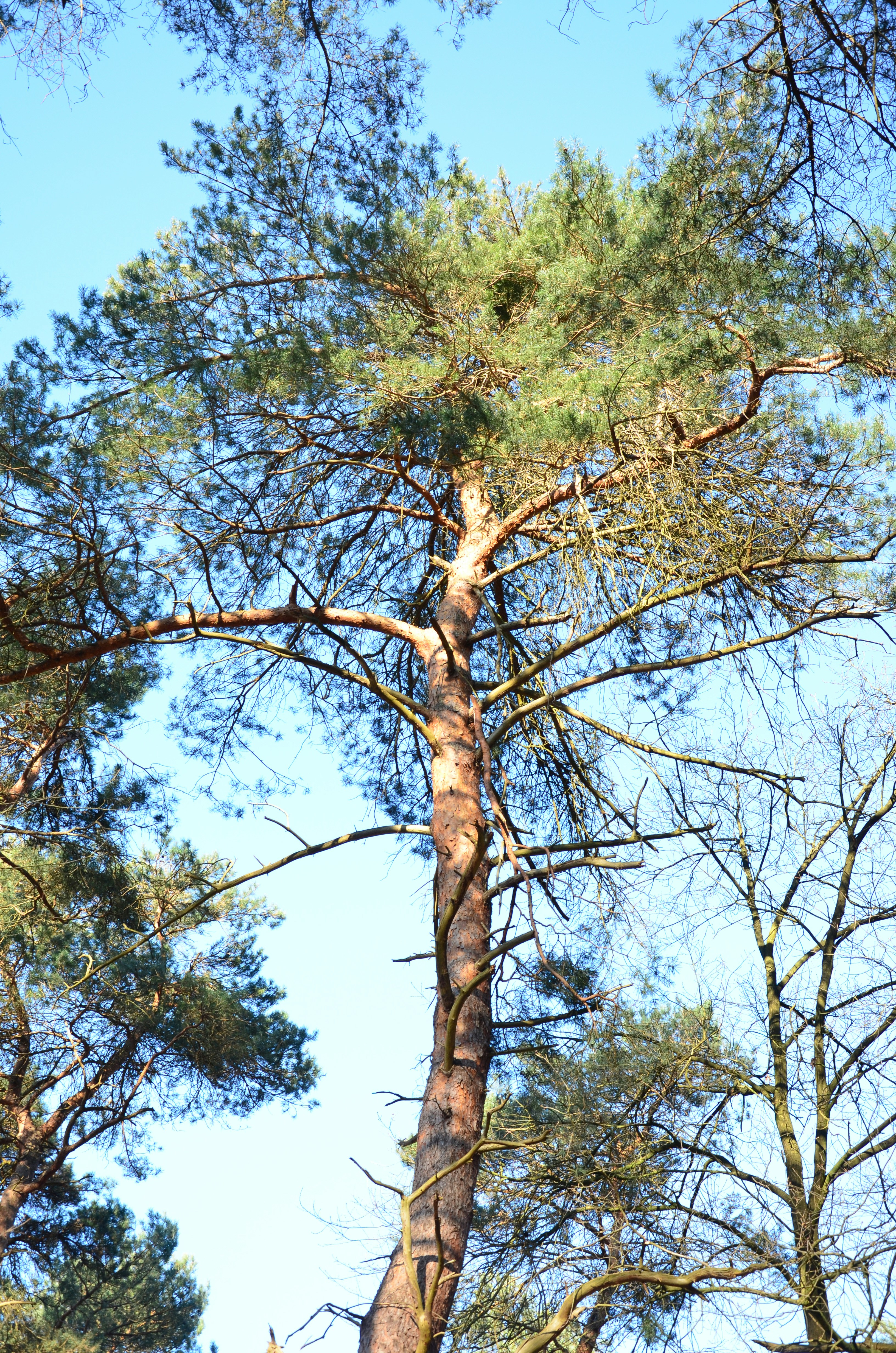 Photo by rosannagaddoni