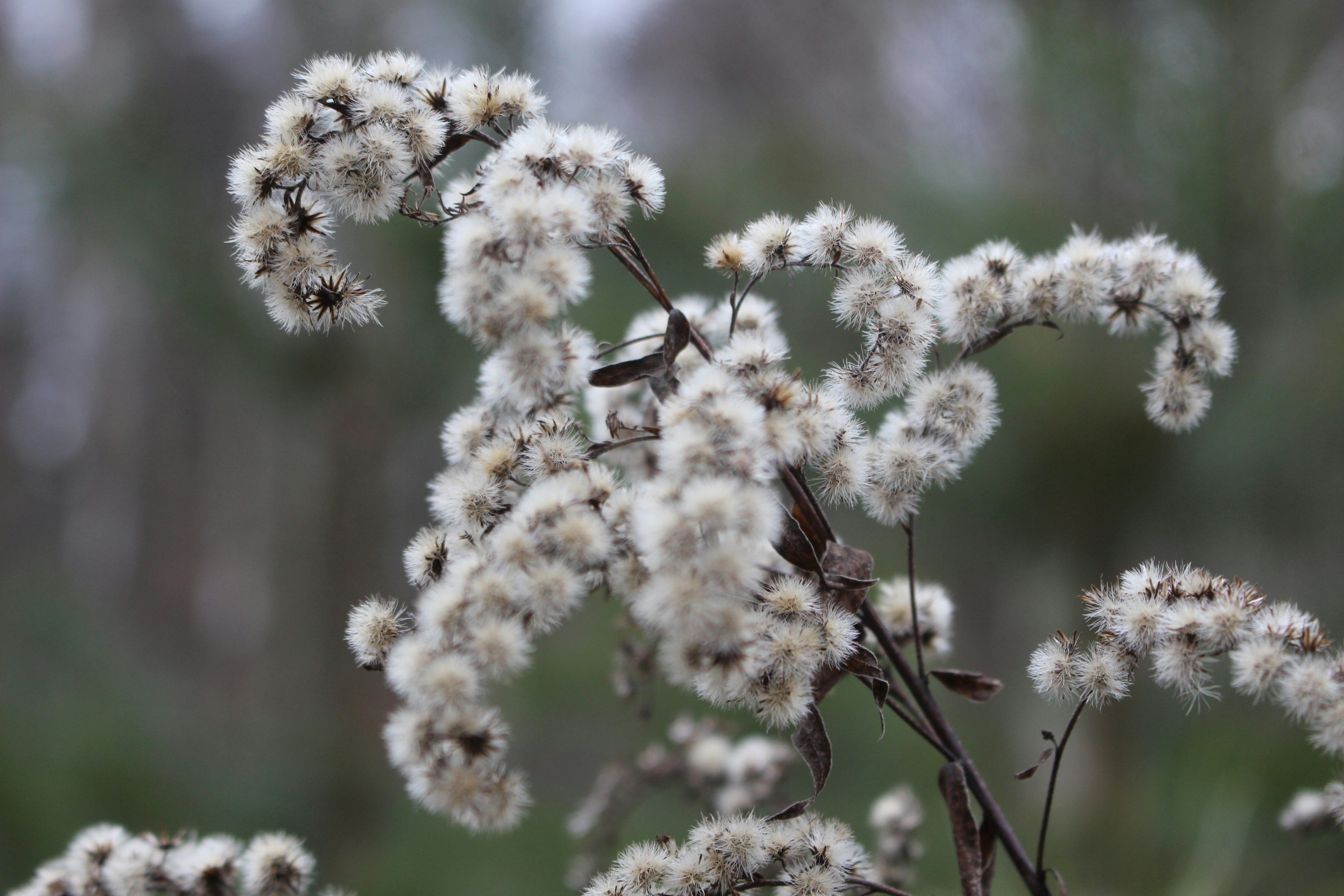 Photo by marjorylucabaxter