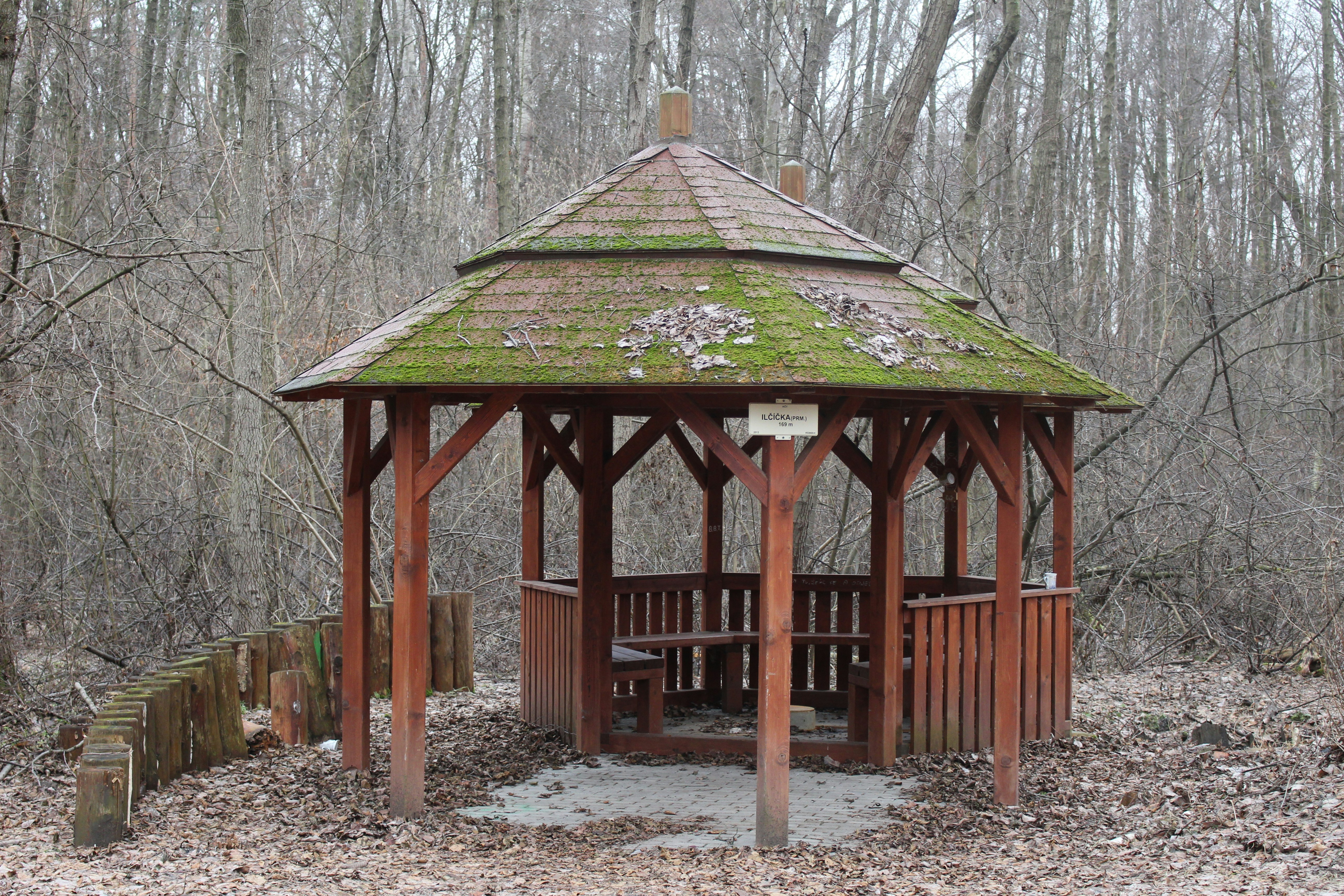 Photo by marjorylucabaxter