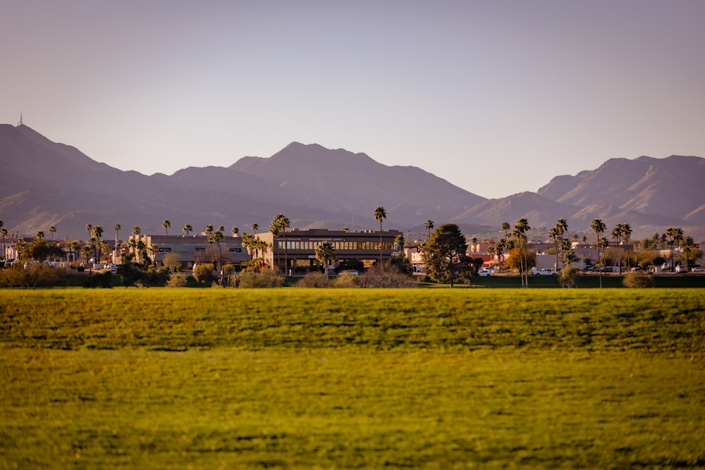 a green field with mountains in the background