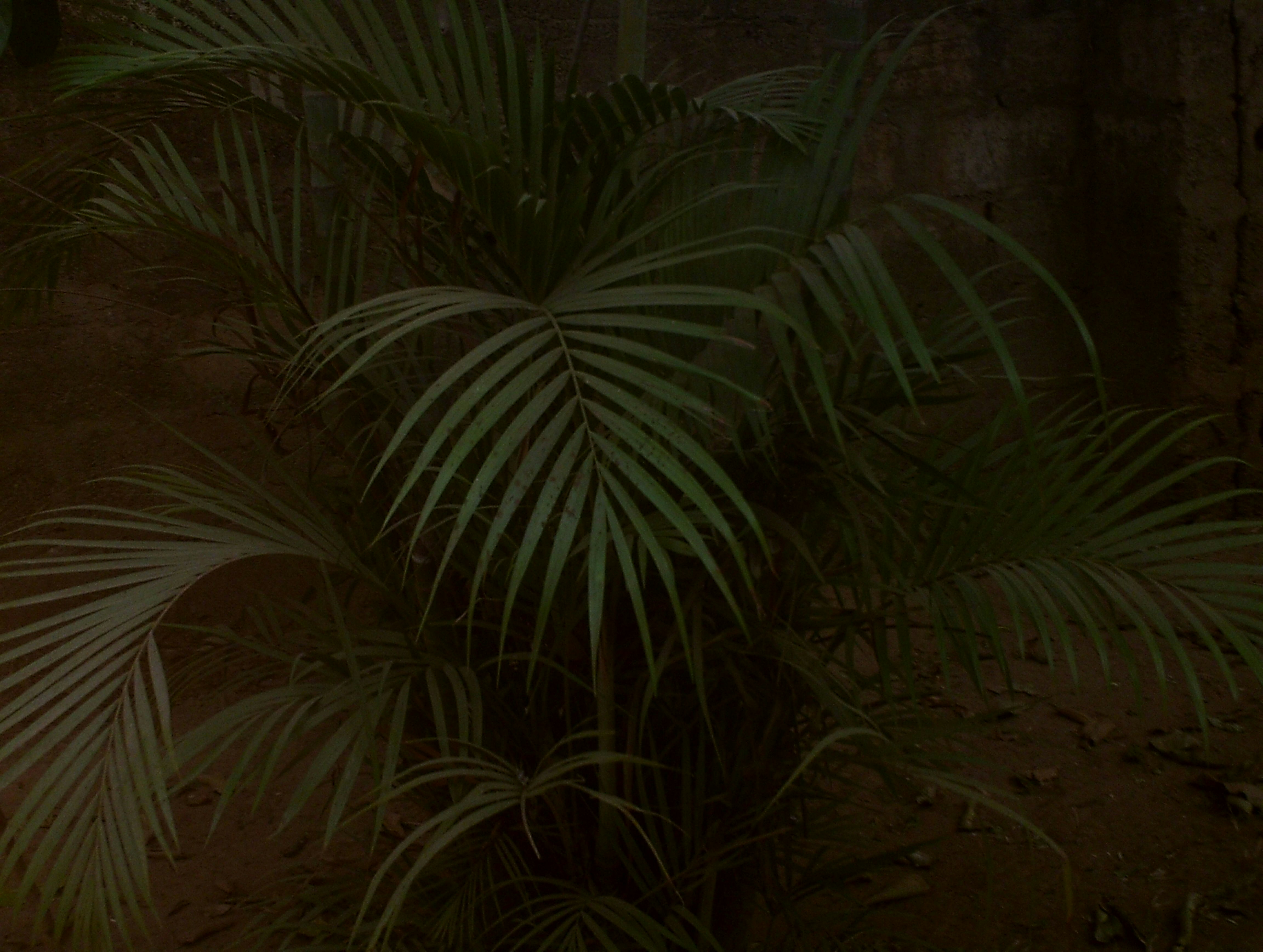 photo 1646937037917 0fd4fc745bfe?crop=entropy&cs=tinysrgb&fit=max&fm=jpg&ixid=M3w1MjQ0NjR8MHwxfHNlYXJjaHwxNnx8U3Vydml2YWwlMjBHZWFyfGVufDB8MHx8fDE3NTE3NDM1MDN8MA&ixlib=rb 4.1