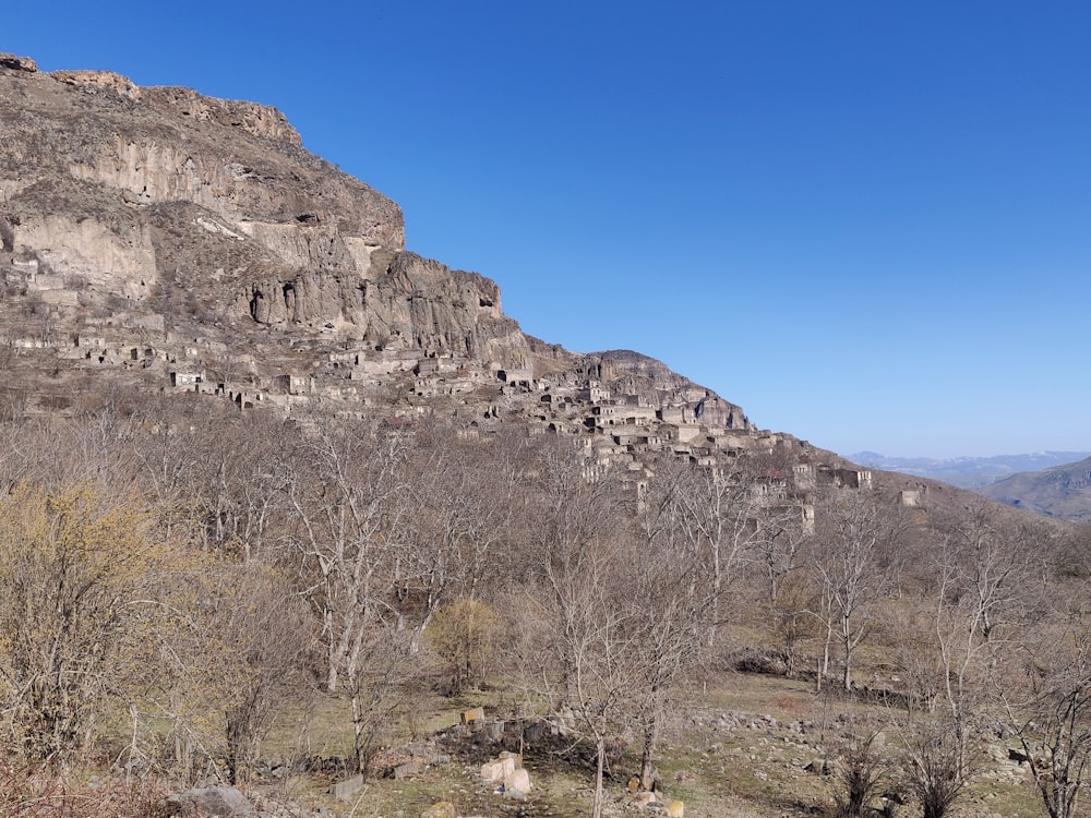 Ein Berg mit einem Haufen Bäume darauf