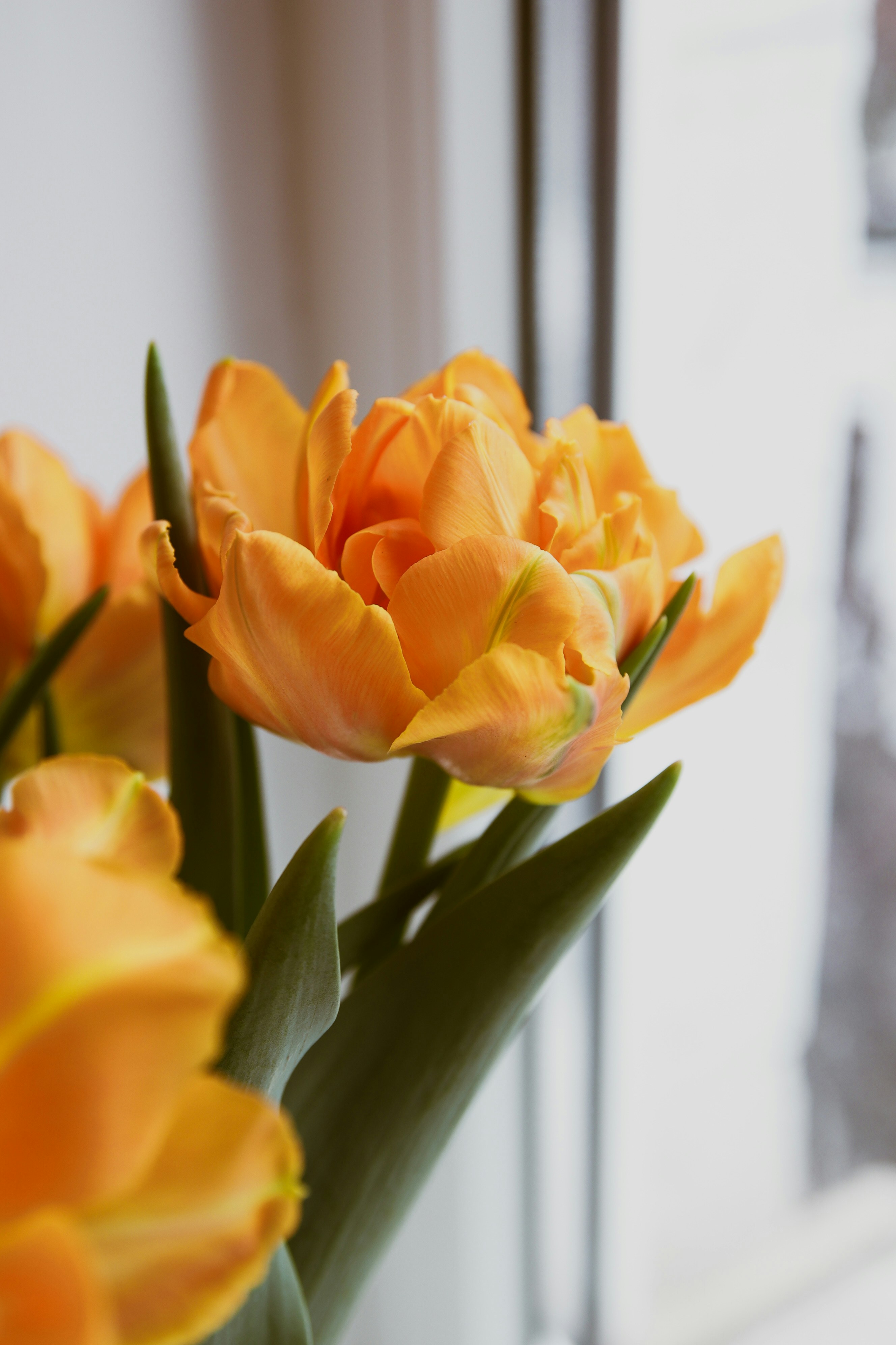 Photo by feeling_hope