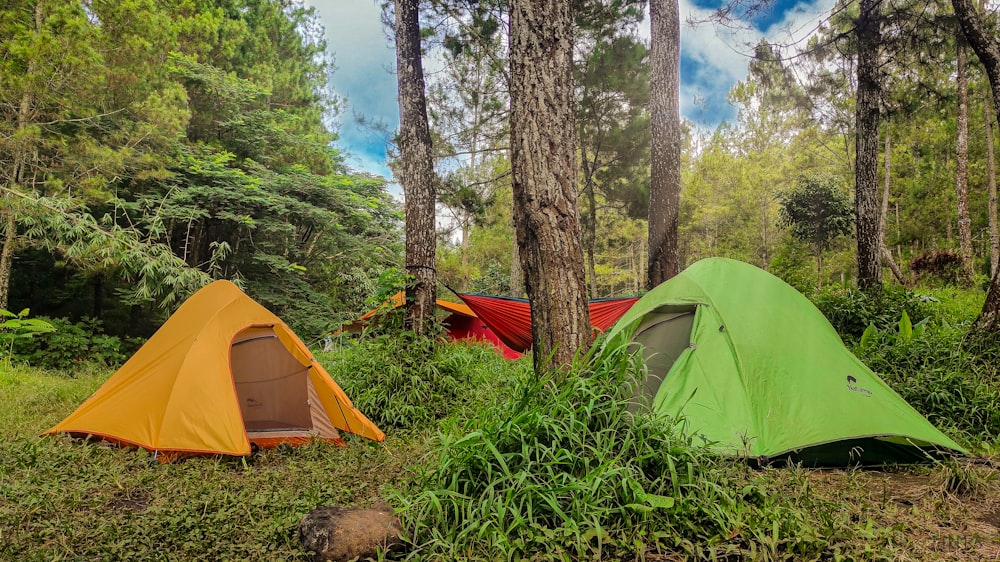 a couple of tents sitting in the middle of a forest