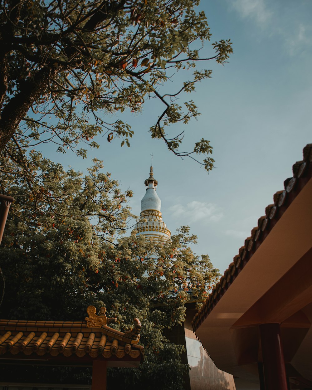 a view of the dome of a building with a tree in the foreground