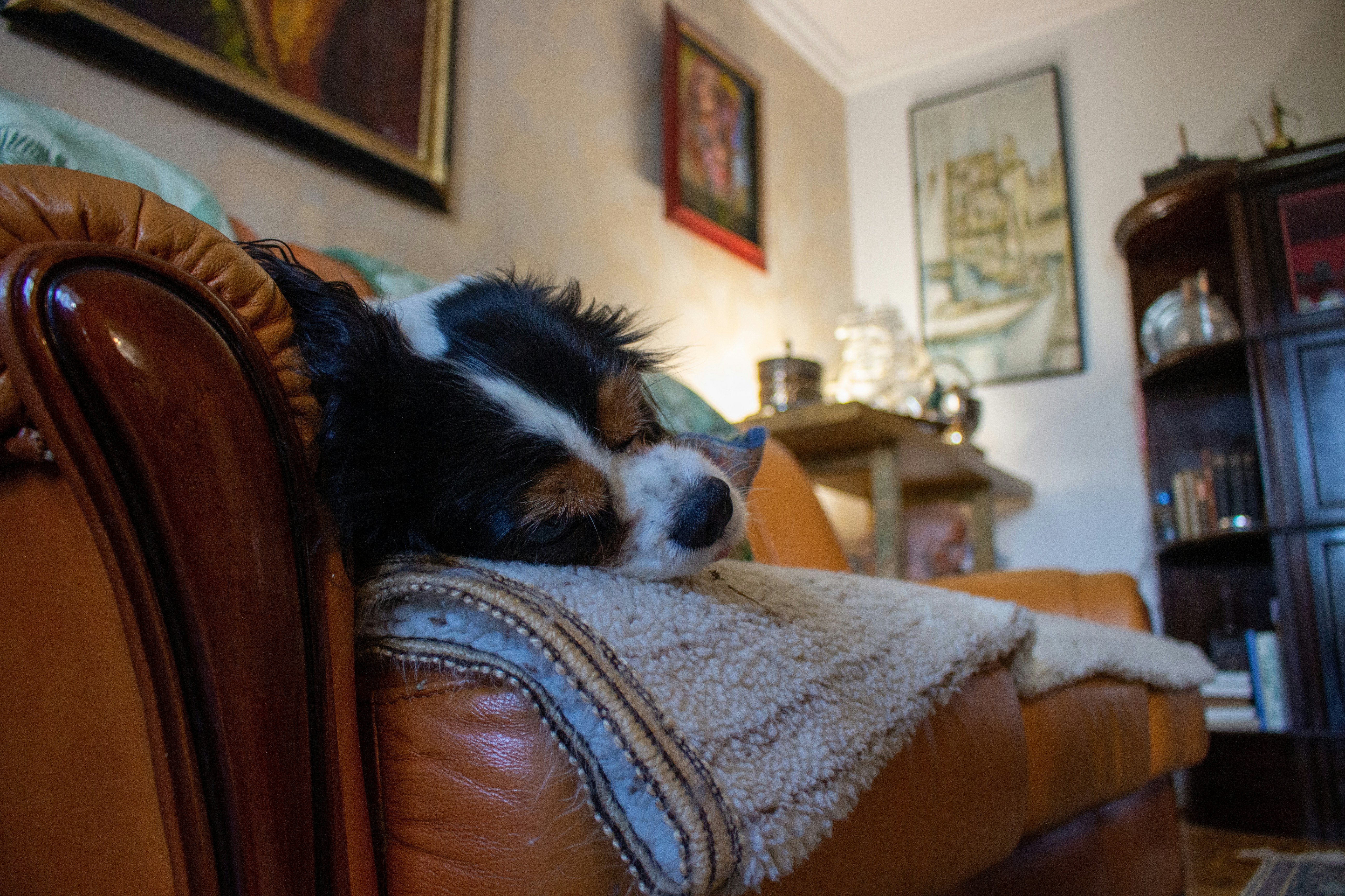 Understanding the Sounds: What’s Normal vs. What’s Not