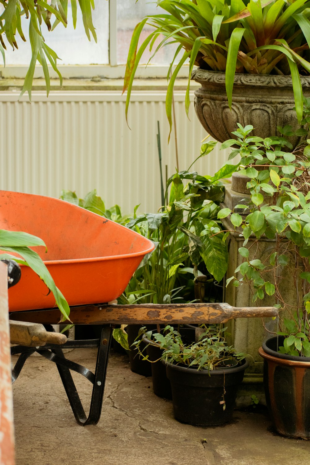 a wheelbarrow with plants in it sitting on the ground