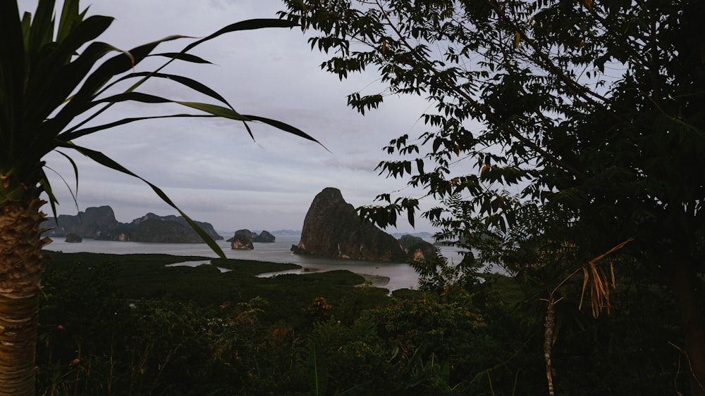 a body of water surrounded by trees and rocks