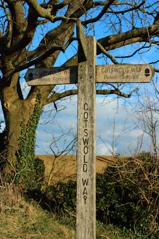 a wooden sign pointing in different directions in front of a tree
