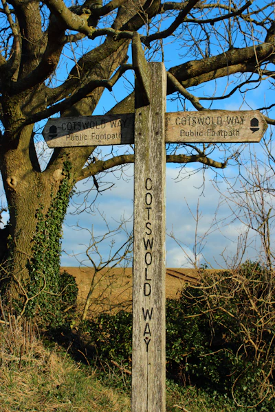 a wooden sign pointing in different directions in front of a tree
