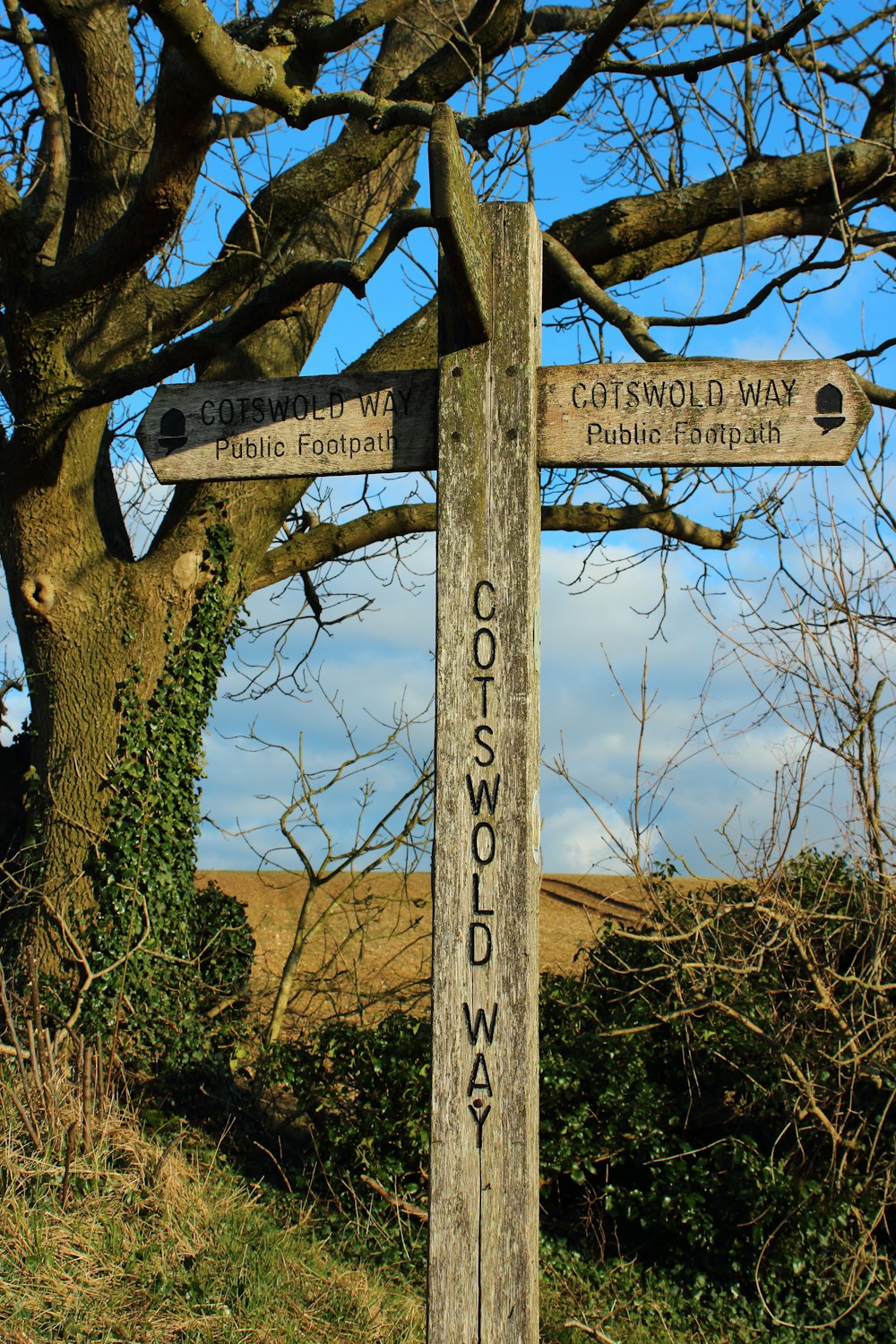 a wooden sign pointing in different directions in front of a tree