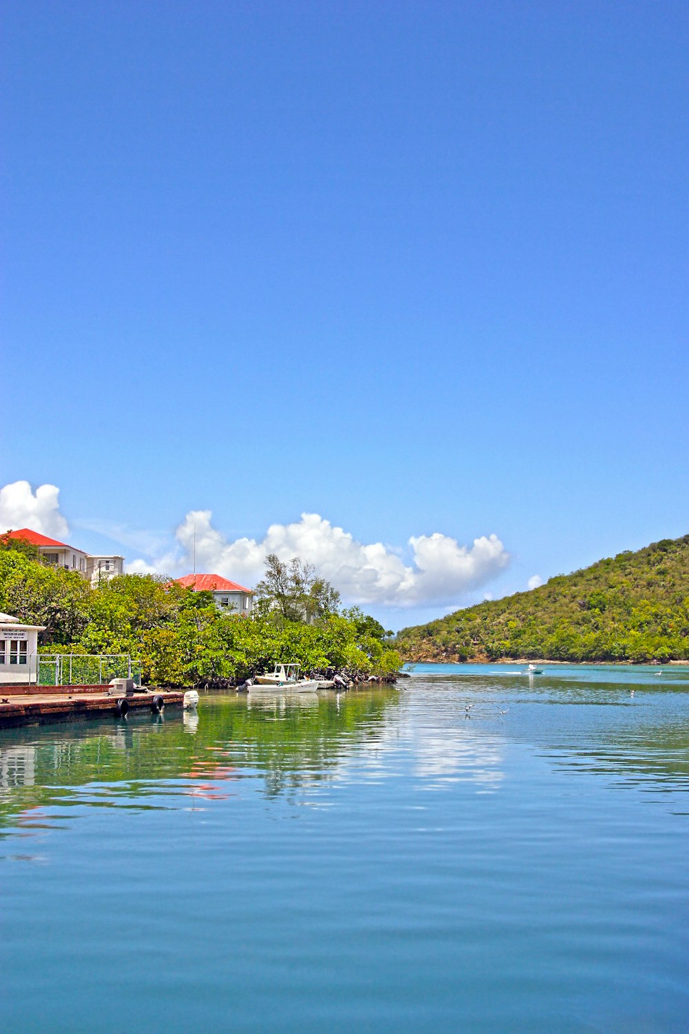 a body of water surrounded by trees and buildings