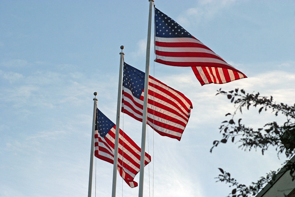 a group of american flags flying in the air