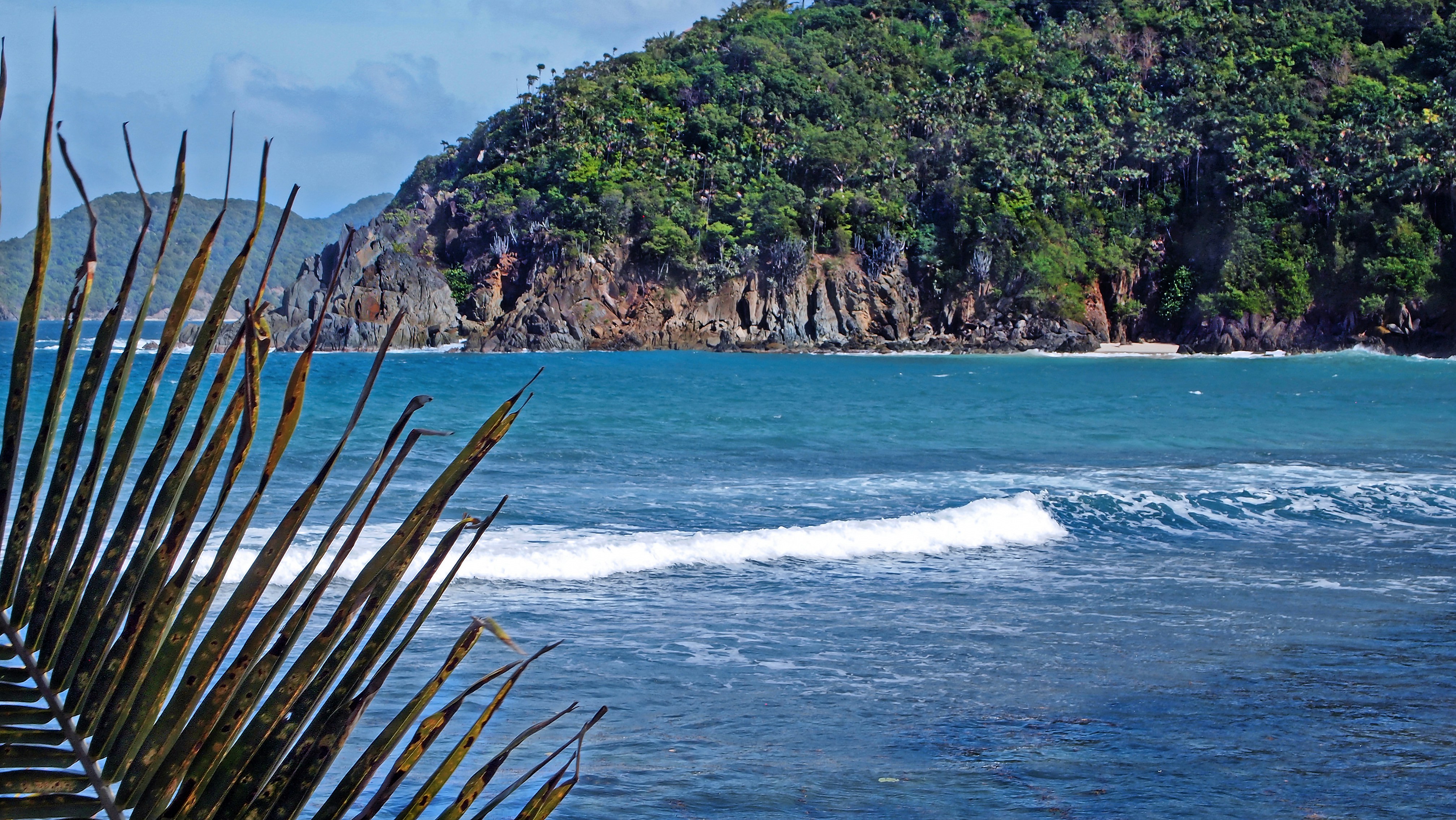 Photo by climatechangevi