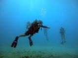 Several scuba divers swim underwater, surrounded by clear blue water. They are wearing diving gear including fins and oxygen tanks, and are emitting bubbles as they move. The ocean floor is visible in the background, composed of sand and a few small rocks.