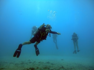 Several scuba divers swim underwater, surrounded by clear blue water. They are wearing diving gear including fins and oxygen tanks, and are emitting bubbles as they move. The ocean floor is visible in the background, composed of sand and a few small rocks.