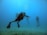 Several scuba divers swim underwater, surrounded by clear blue water. They are wearing diving gear including fins and oxygen tanks, and are emitting bubbles as they move. The ocean floor is visible in the background, composed of sand and a few small rocks.