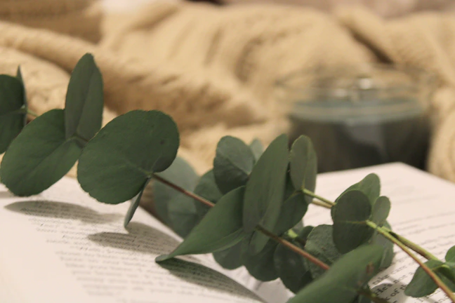 A softly glowing mauriessence candle nestled on a minimalist wooden tray beside a sprig of eucalyptus.