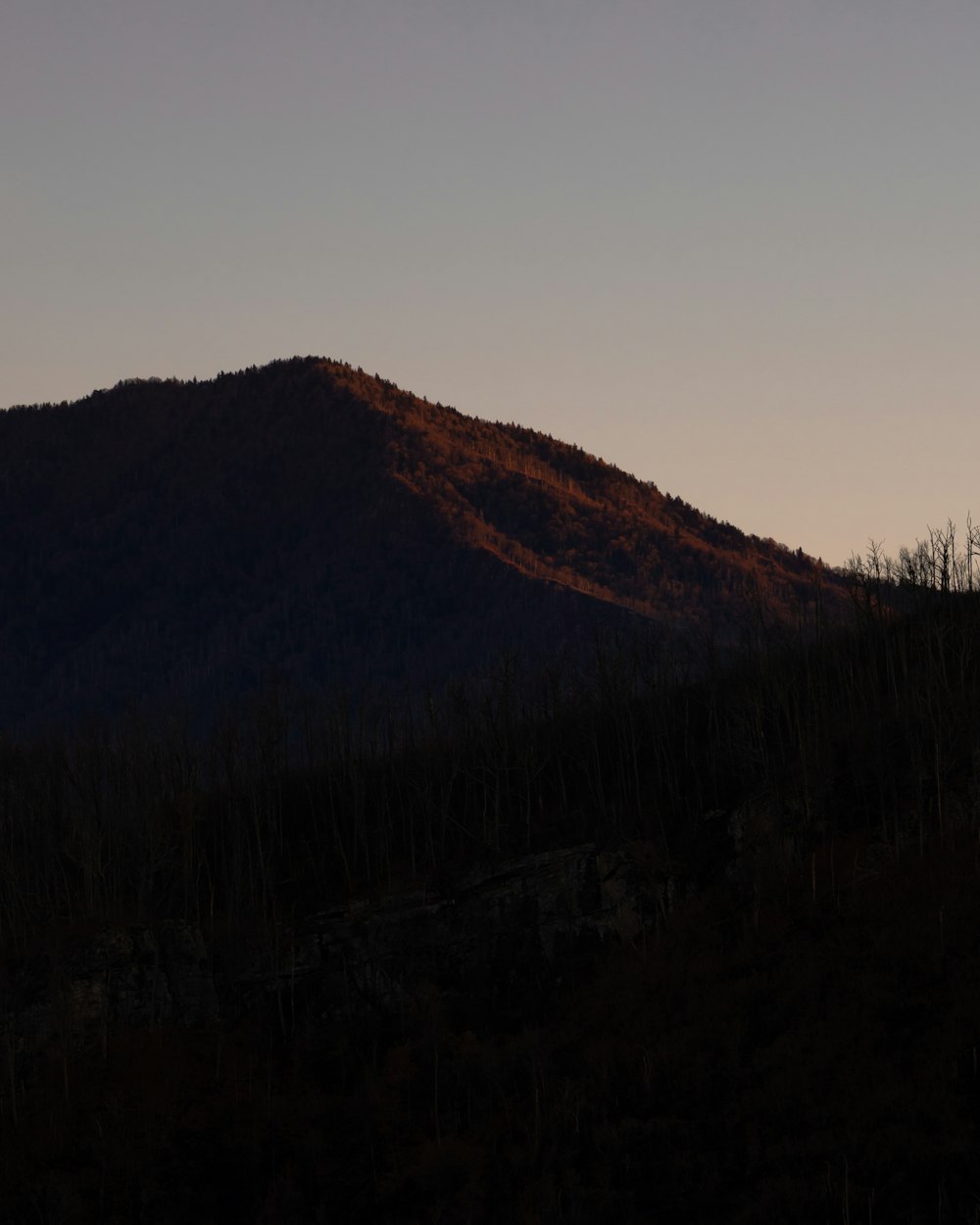 a silhouette of a mountain with trees in the foreground