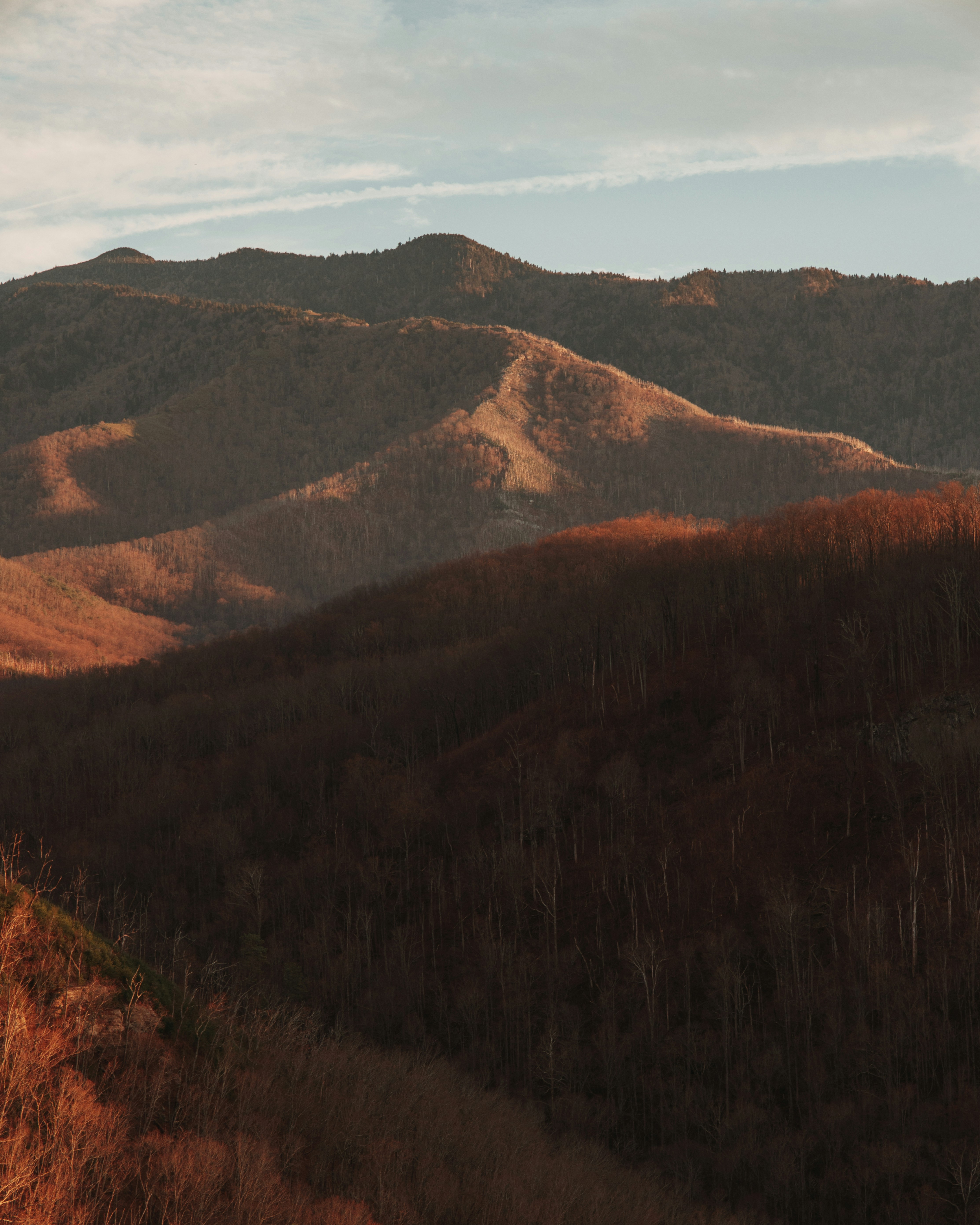 Photo by frankkastle